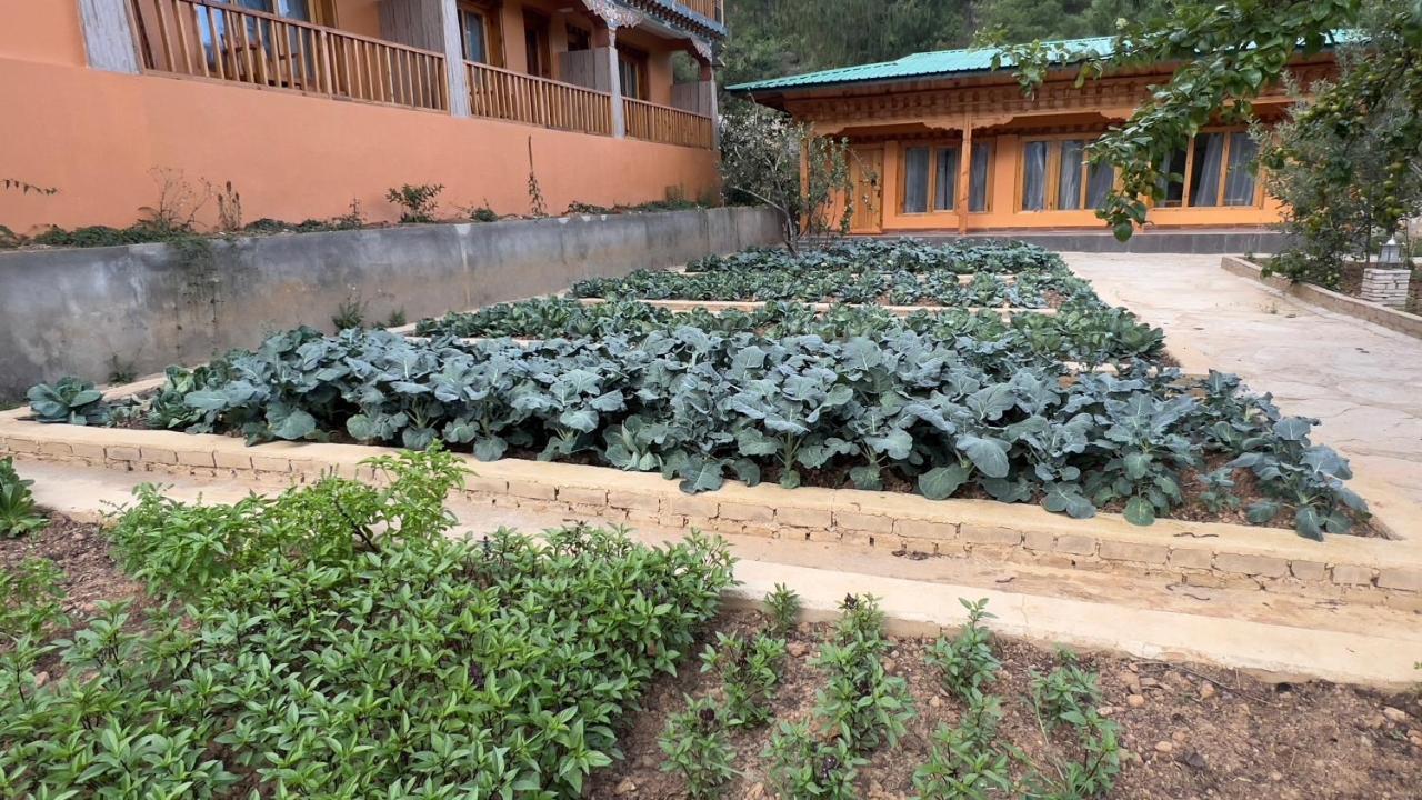 Rema Resort Paro Buitenkant foto