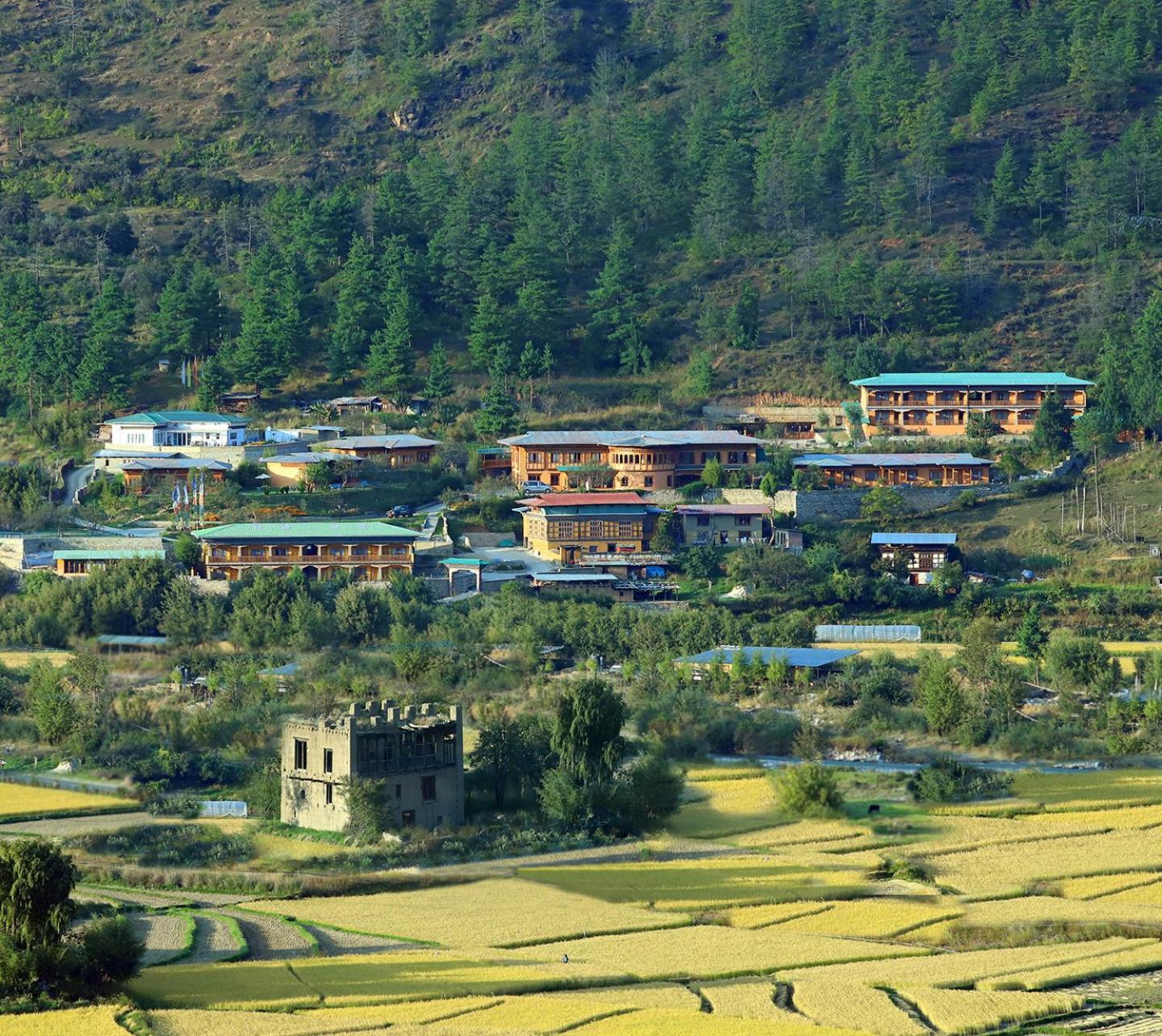Rema Resort Paro Buitenkant foto